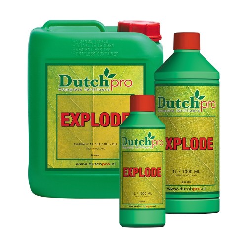 Dutch Pro Explode